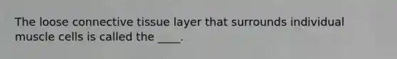 The loose connective tissue layer that surrounds individual muscle cells is called the ____.