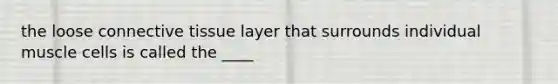 the loose connective tissue layer that surrounds individual muscle cells is called the ____