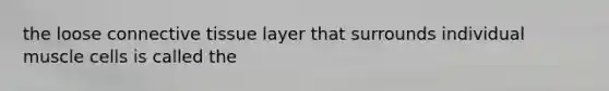 the loose <a href='https://www.questionai.com/knowledge/kYDr0DHyc8-connective-tissue' class='anchor-knowledge'>connective tissue</a> layer that surrounds individual muscle cells is called the