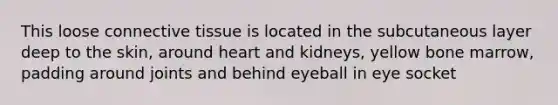 This loose connective tissue is located in the subcutaneous layer deep to the skin, around heart and kidneys, yellow bone marrow, padding around joints and behind eyeball in eye socket