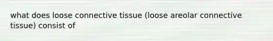 what does loose connective tissue (loose areolar connective tissue) consist of