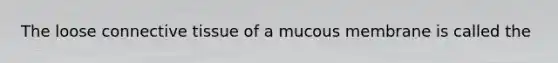 The loose connective tissue of a mucous membrane is called the