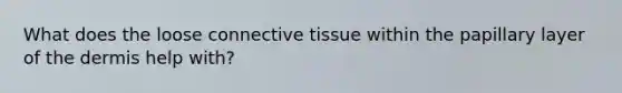 What does the loose connective tissue within the papillary layer of the dermis help with?