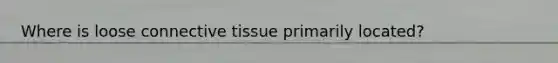 Where is loose connective tissue primarily located?