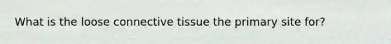 What is the loose <a href='https://www.questionai.com/knowledge/kYDr0DHyc8-connective-tissue' class='anchor-knowledge'>connective tissue</a> the primary site for?