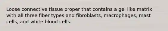 Loose connective tissue proper that contains a gel like matrix with all three fiber types and fibroblasts, macrophages, mast cells, and white blood cells.