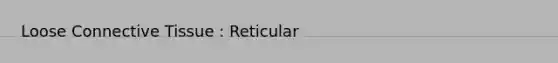 Loose <a href='https://www.questionai.com/knowledge/kYDr0DHyc8-connective-tissue' class='anchor-knowledge'>connective tissue</a> : Reticular