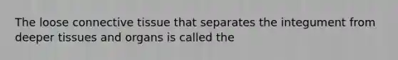 The loose connective tissue that separates the integument from deeper tissues and organs is called the