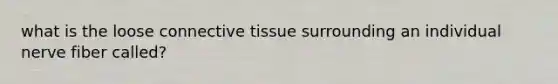 what is the loose <a href='https://www.questionai.com/knowledge/kYDr0DHyc8-connective-tissue' class='anchor-knowledge'>connective tissue</a> surrounding an individual nerve fiber called?