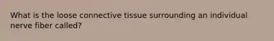 What is the loose connective tissue surrounding an individual nerve fiber called?