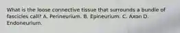 What is the loose connective tissue that surrounds a bundle of fascicles call? A. Perineurium. B. Epineurium. C. Axon D. Endoneurium.