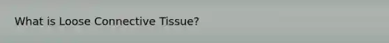 What is Loose Connective Tissue?