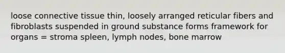 loose connective tissue thin, loosely arranged reticular fibers and fibroblasts suspended in ground substance forms framework for organs = stroma spleen, lymph nodes, bone marrow