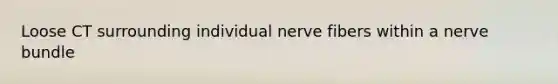 Loose CT surrounding individual nerve fibers within a nerve bundle