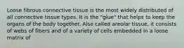 Loose fibrous connective tissue is the most widely distributed of all connective tissue types. It is the "glue" that helps to keep the organs of the body together. Also called areolar tissue, it consists of webs of fibers and of a variety of cells embedded in a loose matrix of