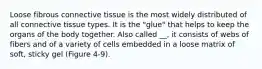 Loose fibrous connective tissue is the most widely distributed of all connective tissue types. It is the "glue" that helps to keep the organs of the body together. Also called __, it consists of webs of fibers and of a variety of cells embedded in a loose matrix of soft, sticky gel (Figure 4-9).