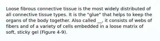 Loose fibrous connective tissue is the most widely distributed of all connective tissue types. It is the "glue" that helps to keep the organs of the body together. Also called __, it consists of webs of fibers and of a variety of cells embedded in a loose matrix of soft, sticky gel (Figure 4-9).