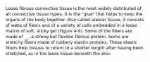 Loose fibrous connective tissue is the most widely distributed of all connective tissue types. It is the "glue" that helps to keep the organs of the body together. Also called areolar tissue, it consists of webs of fibers and of a variety of cells embedded in a loose matrix of soft, sticky gel (Figure 4-9). Some of the fibers are made of __, a strong but flexible fibrous protein. Some are stretchy fibers made of rubbery elastin proteins. These elastic fibers help tissues to return to a shorter length after having been stretched, as in the loose tissue beneath the skin.