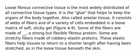 Loose fibrous connective tissue is the most widely distributed of all connective tissue types. It is the "glue" that helps to keep the organs of the body together. Also called areolar tissue, it consists of webs of fibers and of a variety of cells embedded in a loose matrix of soft, sticky gel (Figure 4-9). Some of the fibers are made of __, a strong but flexible fibrous protein. Some are stretchy fibers made of rubbery elastin proteins. These elastic fibers help tissues to return to a shorter length after having been stretched, as in the loose tissue beneath the skin.