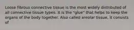 Loose fibrous connective tissue is the most widely distributed of all connective tissue types. It is the "glue" that helps to keep the organs of the body together. Also called areolar tissue, it consists of