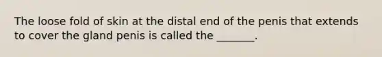 The loose fold of skin at the distal end of the penis that extends to cover the gland penis is called the _______.