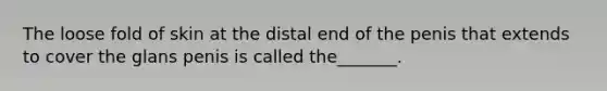 The loose fold of skin at the distal end of the penis that extends to cover the glans penis is called the_______.