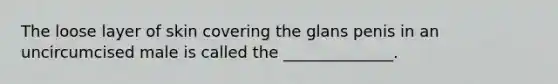 The loose layer of skin covering the glans penis in an uncircumcised male is called the ______________.