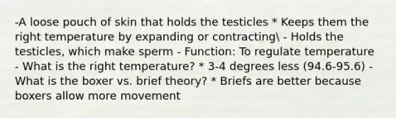 -A loose pouch of skin that holds the testicles * Keeps them the right temperature by expanding or contracting - Holds the testicles, which make sperm - Function: To regulate temperature - What is the right temperature? * 3-4 degrees less (94.6-95.6) - What is the boxer vs. brief theory? * Briefs are better because boxers allow more movement