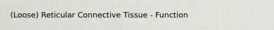 (Loose) Reticular Connective Tissue - Function