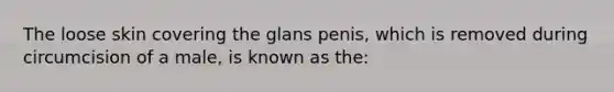 The loose skin covering the glans penis, which is removed during circumcision of a male, is known as the: