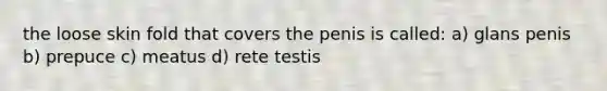 the loose skin fold that covers the penis is called: a) glans penis b) prepuce c) meatus d) rete testis