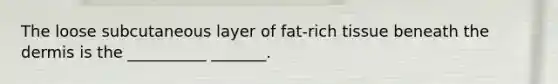 The loose subcutaneous layer of fat-rich tissue beneath the dermis is the __________ _______.