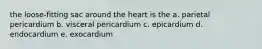 the loose-fitting sac around the heart is the a. parietal pericardium b. visceral pericardium c. epicardium d. endocardium e. exocardium