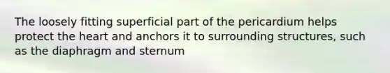 The loosely fitting superficial part of the pericardium helps protect the heart and anchors it to surrounding structures, such as the diaphragm and sternum