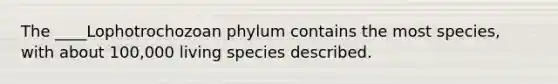 The ____Lophotrochozoan phylum contains the most species, with about 100,000 living species described.