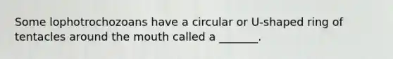 Some lophotrochozoans have a circular or U-shaped ring of tentacles around the mouth called a _______.