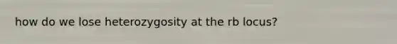 how do we lose heterozygosity at the rb locus?