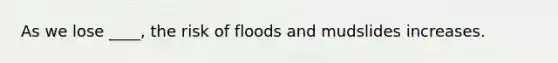 As we lose ____, the risk of floods and mudslides increases.