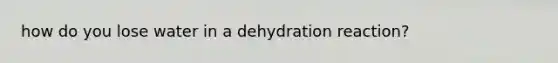 how do you lose water in a dehydration reaction?