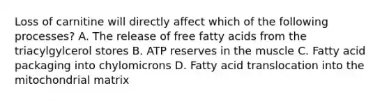 Loss of carnitine will directly affect which of the following processes? A. The release of free fatty acids from the triacylgylcerol stores B. ATP reserves in the muscle C. Fatty acid packaging into chylomicrons D. Fatty acid translocation into the mitochondrial matrix