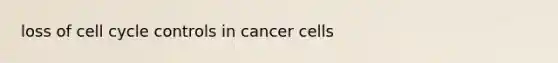 loss of cell cycle controls in cancer cells