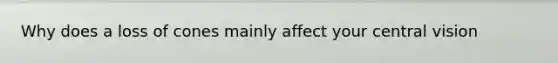 Why does a loss of cones mainly affect your central vision