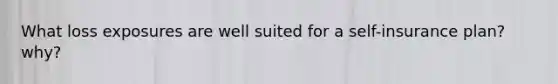 What loss exposures are well suited for a self-insurance plan? why?