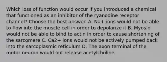 Which loss of function would occur if you introduced a chemical that functioned as an inhibitor of the ryanodine receptor channel? Choose the best answer. A. Na+ ions would not be able to flow into the muscle cell in order to depolarize it B. Myosin would not be able to bind to actin in order to cause shortening of the sarcomere C. Ca2+ ions would not be actively pumped back into the sarcoplasmic reticulum D. The axon terminal of the motor neuron would not release acetylcholine