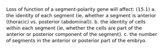 Loss of function of a segment-polarity gene will affect: (15.1) a. the identity of each segment (ie, whether a segment is anterior (thoracic) vs. posterior (abdominal)). b. the identity of cells within each segment (ie, whether the cells are part of the anterior or posterior component of the segment). c. the number of segments in the anterior or posterior part of the embryo.