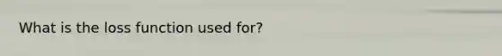 What is the loss function used for?