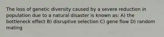 The loss of genetic diversity caused by a severe reduction in population due to a natural disaster is known as: A) the bottleneck effect B) disruptive selection C) gene flow D) random mating