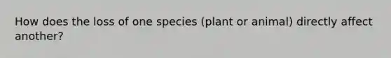 How does the loss of one species (plant or animal) directly affect another?