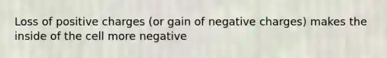 Loss of positive charges (or gain of negative charges) makes the inside of the cell more negative