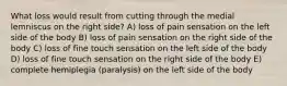 What loss would result from cutting through the medial lemniscus on the right side? A) loss of pain sensation on the left side of the body B) loss of pain sensation on the right side of the body C) loss of fine touch sensation on the left side of the body D) loss of fine touch sensation on the right side of the body E) complete hemiplegia (paralysis) on the left side of the body